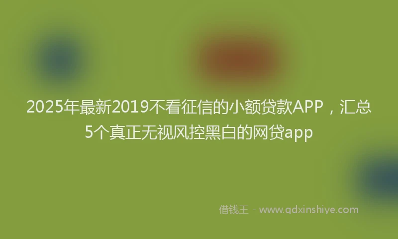 2025年最新2019不看征信的小额贷款APP，汇总5个真正无视风控黑白的网贷app