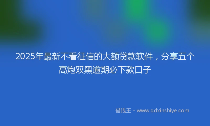 2025年最新不看征信的大额贷款软件，分享五个高炮双黑逾期必下款口子