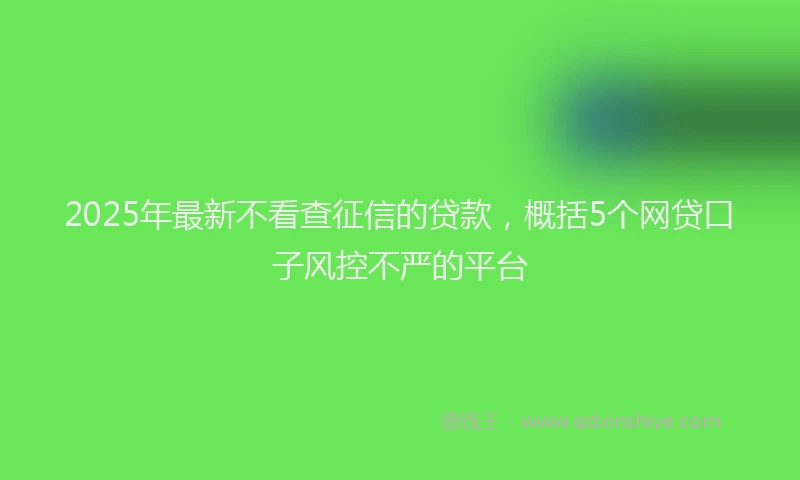 2025年最新不看查征信的贷款，概括5个网贷口子风控不严的平台