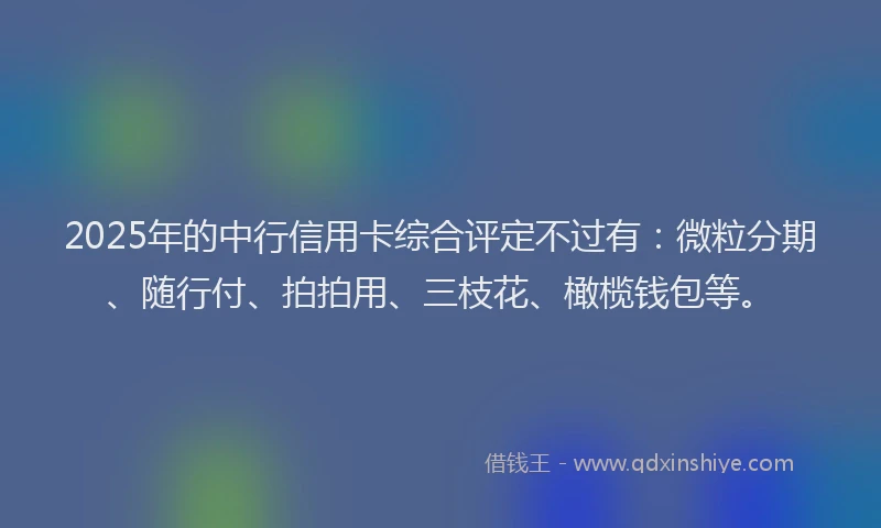 2025年的中行信用卡综合评定不过有：微粒分期、随行付、拍拍用、三枝花、橄榄钱包等。