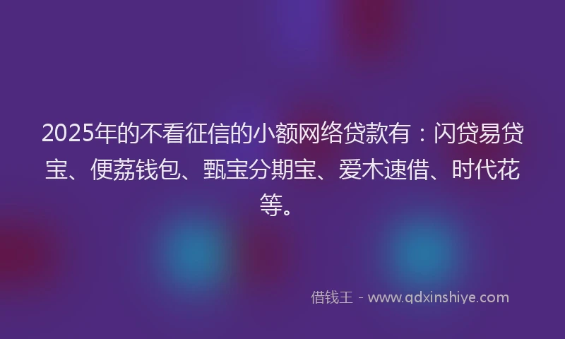 2025年的不看征信的小额网络贷款有：闪贷易贷宝、便荔钱包、甄宝分期宝、爱木速借、时代花等。