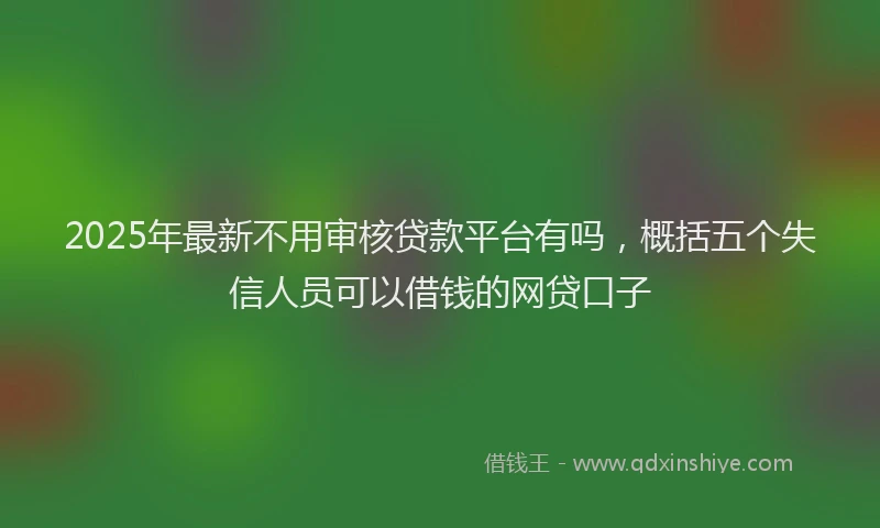 2025年最新不用审核贷款平台有吗，概括五个失信人员可以借钱的网贷口子