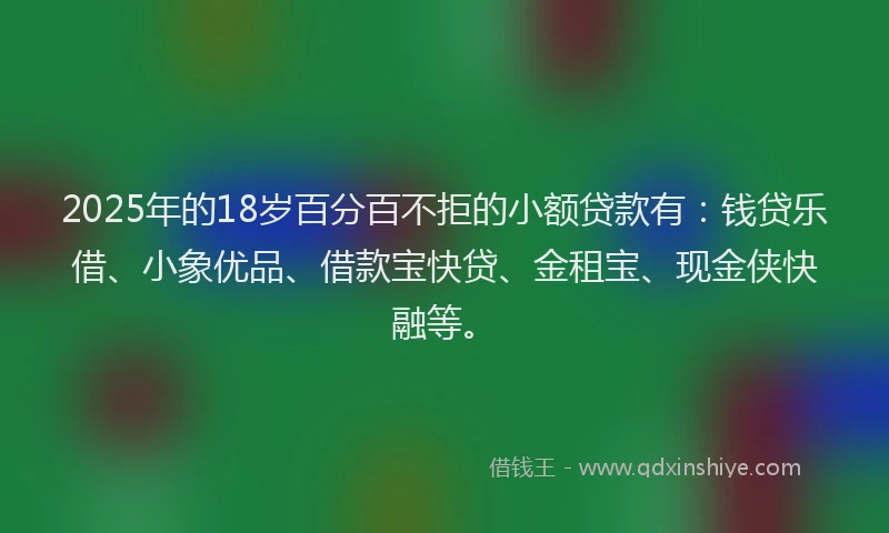 2025年的18岁百分百不拒的小额贷款有：钱贷乐借、小象优品、借款宝快贷、金租宝、现金侠快融等。
