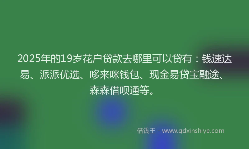 2025年的19岁花户贷款去哪里可以贷有：钱速达易、派派优选、哆来咪钱包、现金易贷宝融途、森森借呗通等。