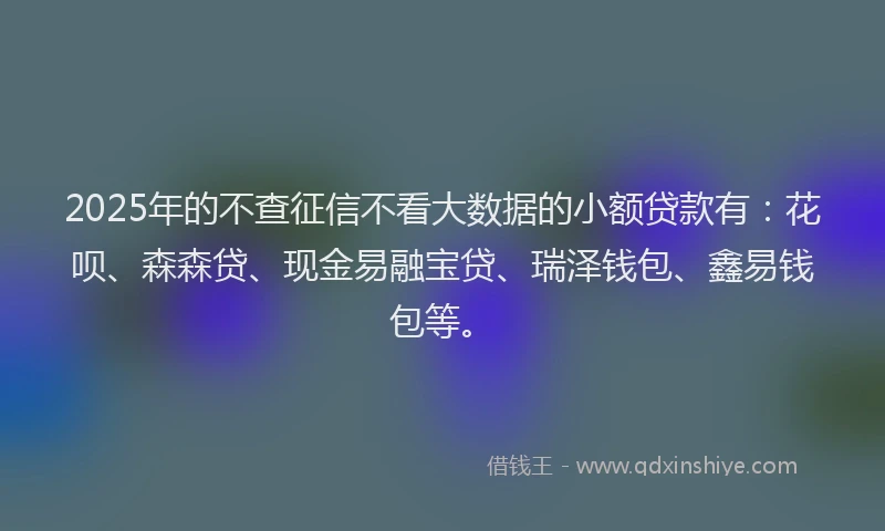 2025年的不查征信不看大数据的小额贷款有：花呗、森森贷、现金易融宝贷、瑞泽钱包、鑫易钱包等。