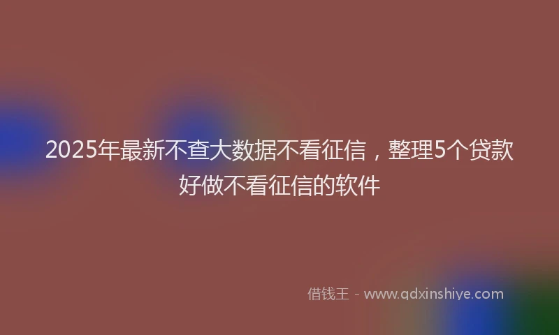 2025年最新不查大数据不看征信，整理5个贷款好做不看征信的软件