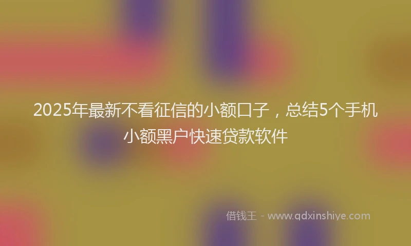 2025年最新不看征信的小额口子，总结5个手机小额黑户快速贷款软件