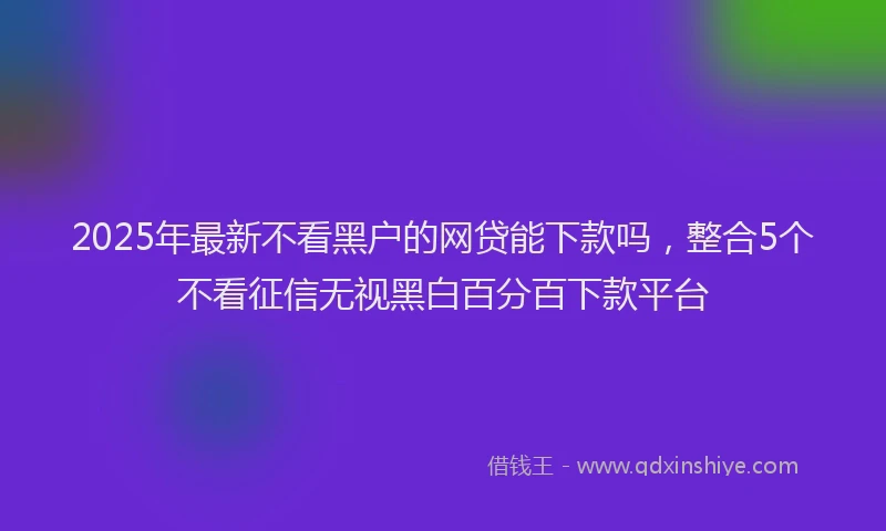 2025年最新不看黑户的网贷能下款吗，整合5个不看征信无视黑白百分百下款平台
