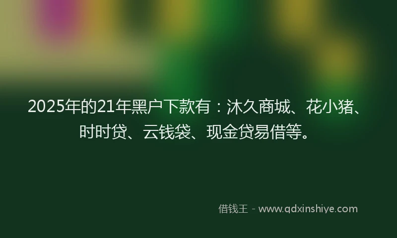2025年的21年黑户下款有：沐久商城、花小猪、时时贷、云钱袋、现金贷易借等。