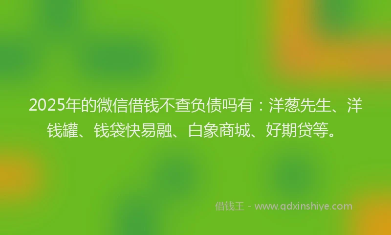2025年的微信借钱不查负债吗有：洋葱先生、洋钱罐、钱袋快易融、白象商城、好期贷等。