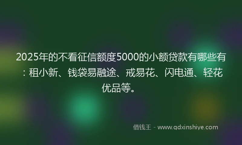 2025年的不看征信额度5000的小额贷款有哪些有：租小新、钱袋易融途、戒易花、闪电通、轻花优品等。