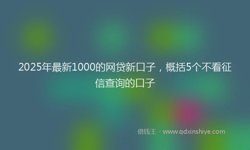 2025年最新1000的网贷新口子，概括5个不看征信查询的口子