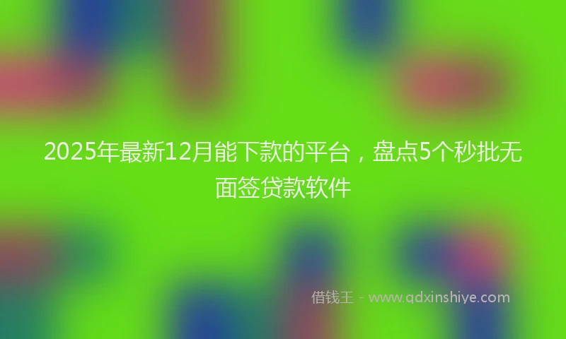 2025年最新12月能下款的平台，盘点5个秒批无面签贷款软件