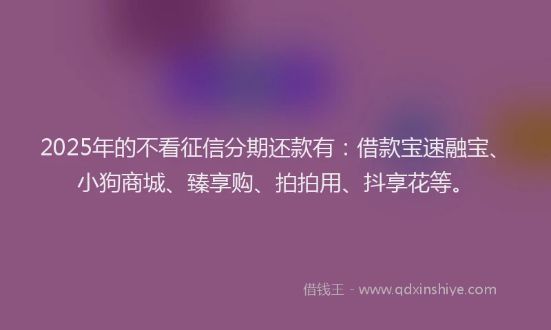 2025年的不看征信分期还款有：借款宝速融宝、小狗商城、臻享购、拍拍用、抖享花等。