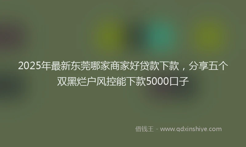 2025年最新东莞哪家商家好贷款下款，分享五个双黑烂户风控能下款5000口子