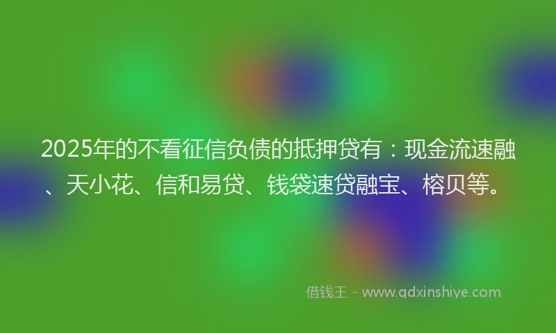 2025年的不看征信负债的抵押贷有：现金流速融、天小花、信和易贷、钱袋速贷融宝、榕贝等。