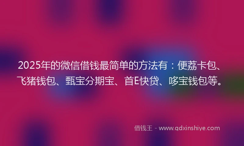 2025年的微信借钱最简单的方法有：便荔卡包、飞猪钱包、甄宝分期宝、首E快贷、哆宝钱包等。