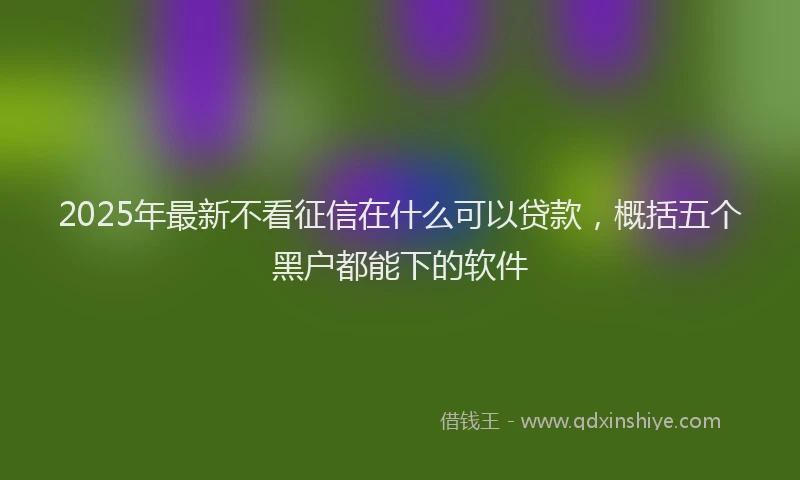2025年最新不看征信在什么可以贷款，概括五个黑户都能下的软件