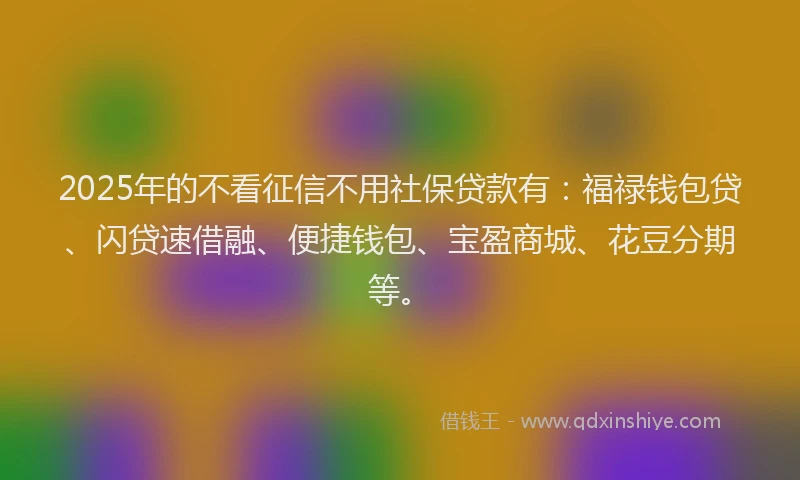2025年的不看征信不用社保贷款有：福禄钱包贷、闪贷速借融、便捷钱包、宝盈商城、花豆分期等。