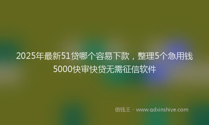2025年最新51贷哪个容易下款，整理5个急用钱5000快审快贷无需征信软件