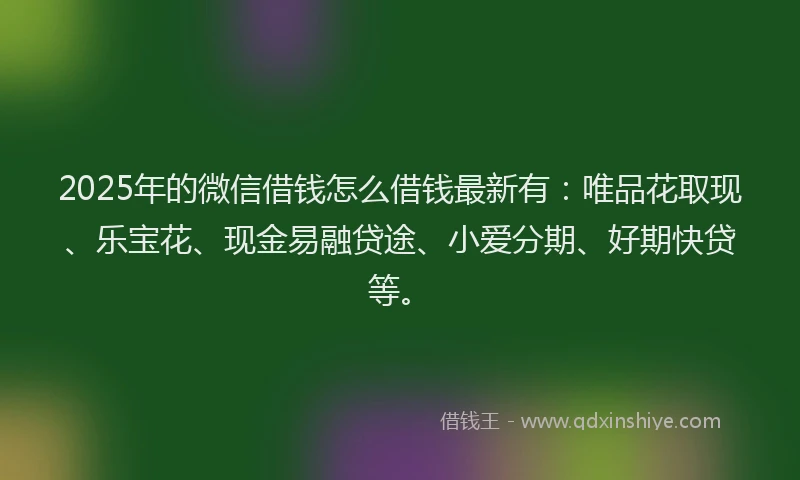 2025年的微信借钱怎么借钱最新有：唯品花取现、乐宝花、现金易融贷途、小爱分期、好期快贷等。