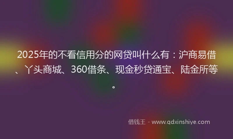2025年的不看信用分的网贷叫什么有：沪商易借、丫头商城、360借条、现金秒贷通宝、陆金所等。