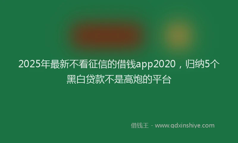 2025年最新不看征信的借钱app2020，归纳5个黑白贷款不是高炮的平台