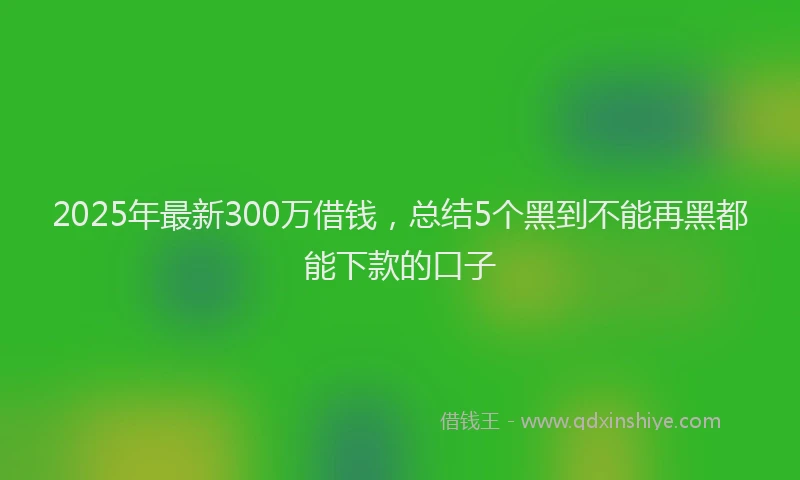 2025年最新300万借钱，总结5个黑到不能再黑都能下款的口子