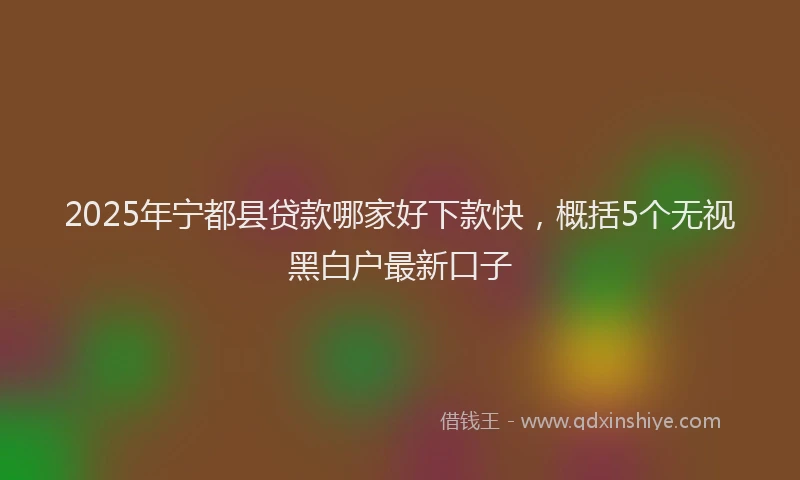 2025年宁都县贷款哪家好下款快，概括5个无视黑白户最新口子