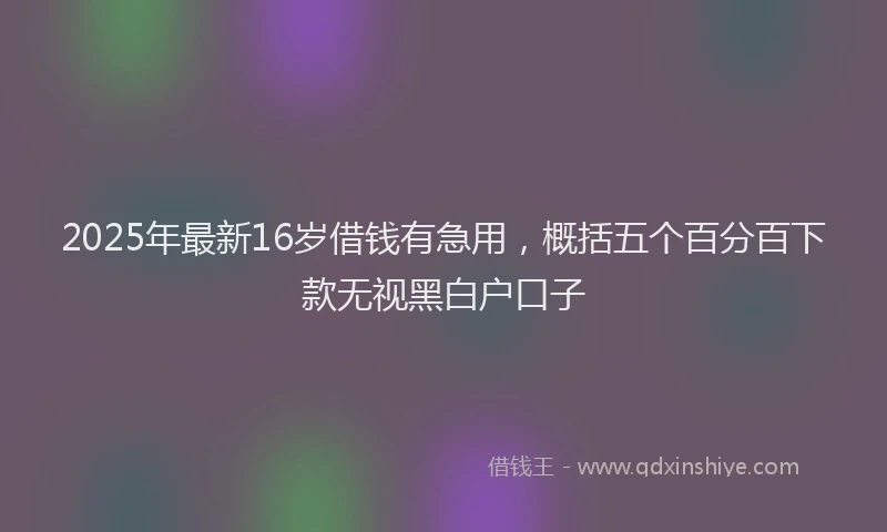 2025年最新16岁借钱有急用，概括五个百分百下款无视黑白户口子