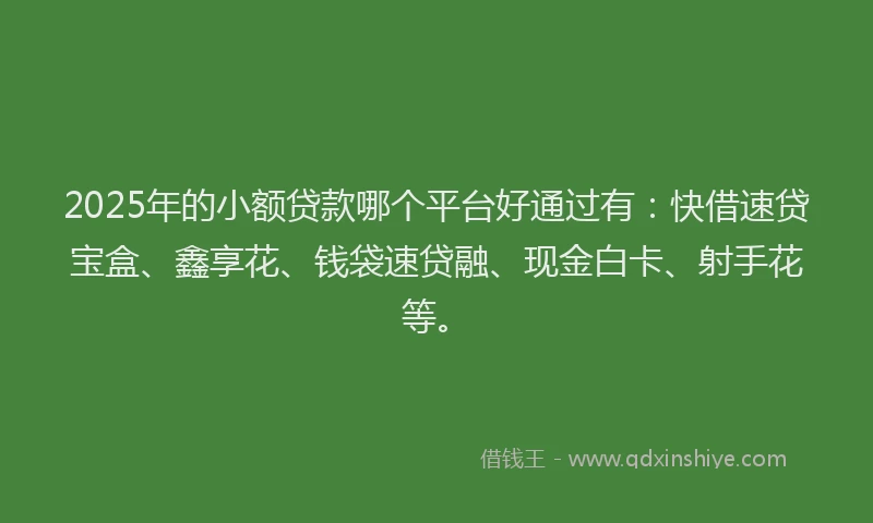 2025年的小额贷款哪个平台好通过有：快借速贷宝盒、鑫享花、钱袋速贷融、现金白卡、射手花等。