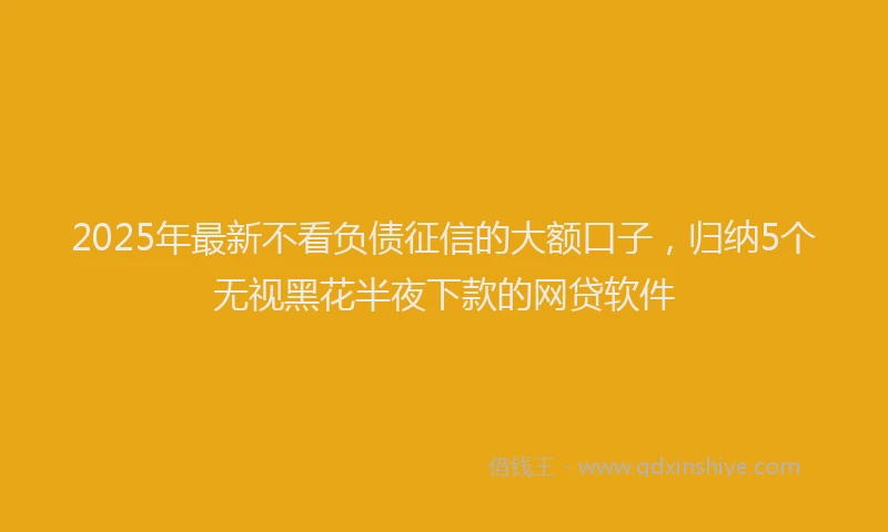 2025年最新不看负债征信的大额口子，归纳5个无视黑花半夜下款的网贷软件