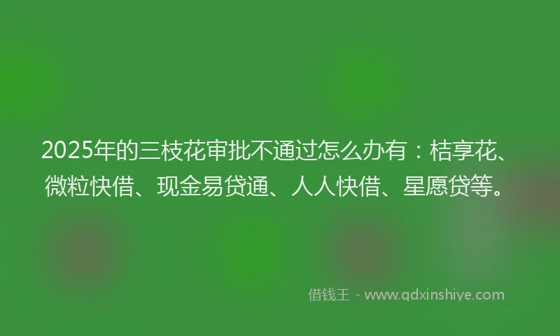 2025年的三枝花审批不通过怎么办有：桔享花、微粒快借、现金易贷通、人人快借、星愿贷等。