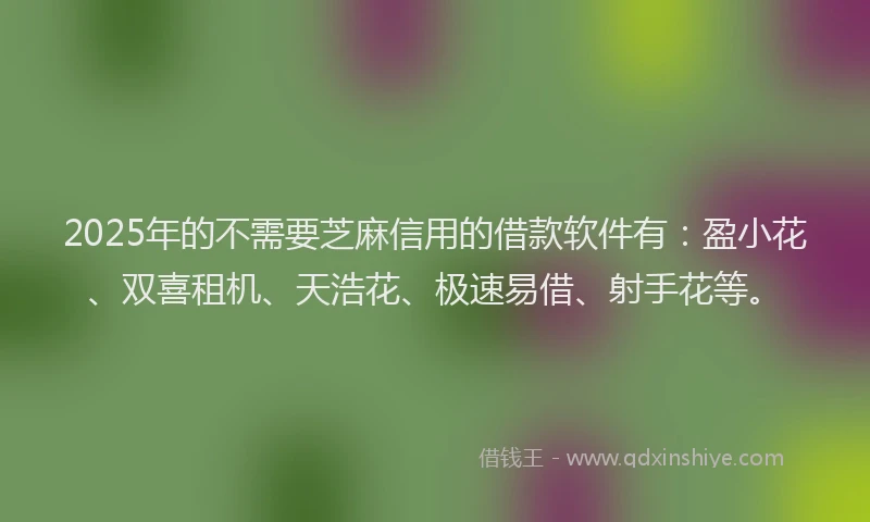 2025年的不需要芝麻信用的借款软件有：盈小花、双喜租机、天浩花、极速易借、射手花等。