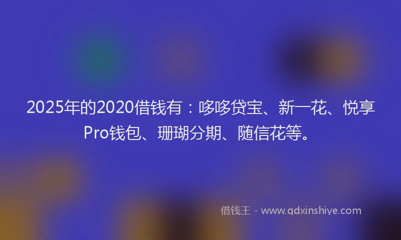 2025年的2020借钱有：哆哆贷宝、新一花、悦享Pro钱包、珊瑚分期、随信花等。