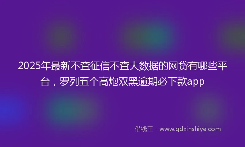2025年最新不查征信不查大数据的网贷有哪些平台，罗列五个高炮双黑逾期必下款app