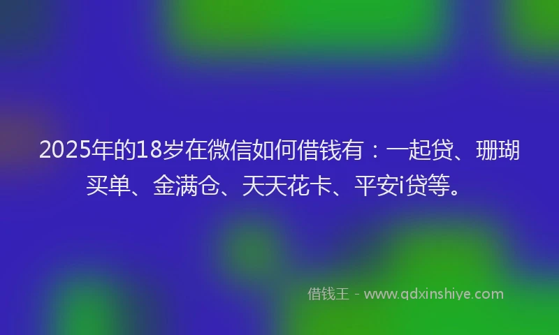2025年的18岁在微信如何借钱有：一起贷、珊瑚买单、金满仓、天天花卡、平安i贷等。