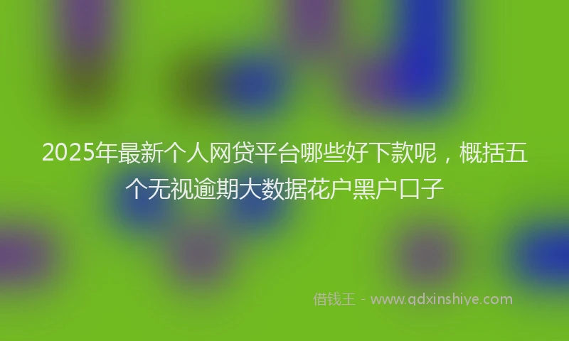 2025年最新个人网贷平台哪些好下款呢，概括五个无视逾期大数据花户黑户口子
