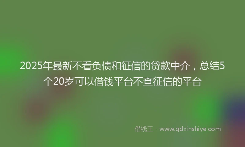 2025年最新不看负债和征信的贷款中介，总结5个20岁可以借钱平台不查征信的平台