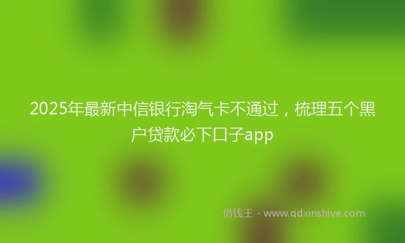 2025年最新中信银行淘气卡不通过，梳理五个黑户贷款必下口子app