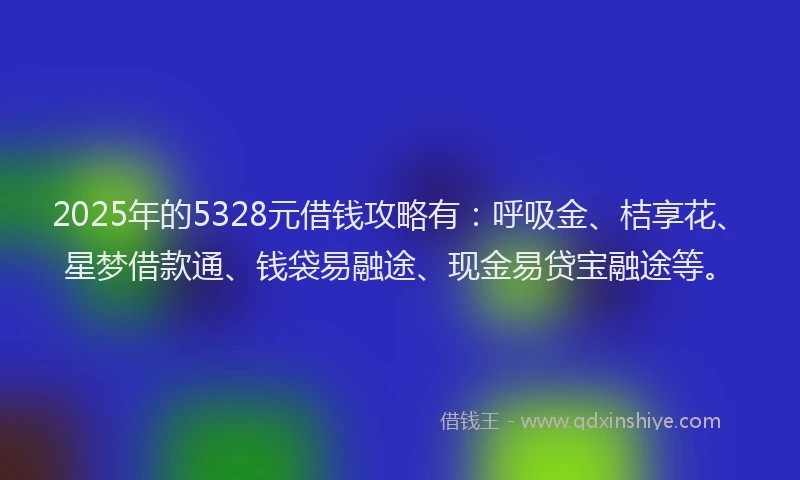 2025年的5328元借钱攻略有：呼吸金、桔享花、星梦借款通、钱袋易融途、现金易贷宝融途等。