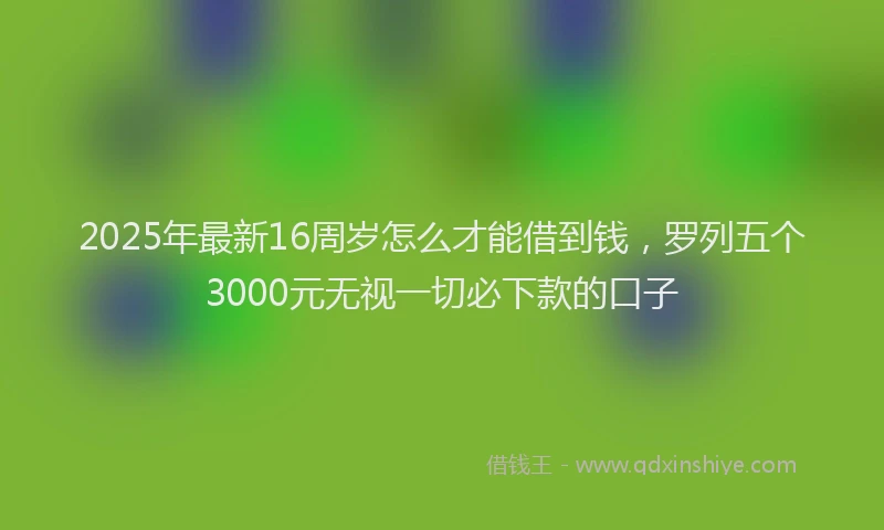 2025年最新16周岁怎么才能借到钱，罗列五个3000元无视一切必下款的口子