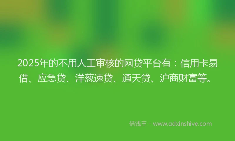 2025年的不用人工审核的网贷平台有：信用卡易借、应急贷、洋葱速贷、通天贷、沪商财富等。