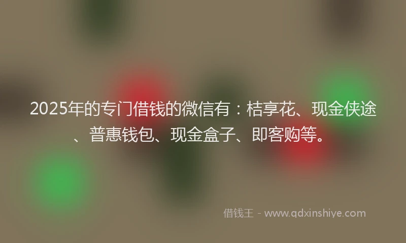2025年的专门借钱的微信有：桔享花、现金侠途、普惠钱包、现金盒子、即客购等。