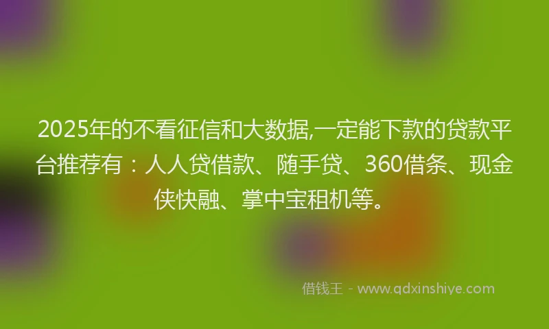 2025年的不看征信和大数据,一定能下款的贷款平台推荐有：人人贷借款、随手贷、360借条、现金侠快融、掌中宝租机等。