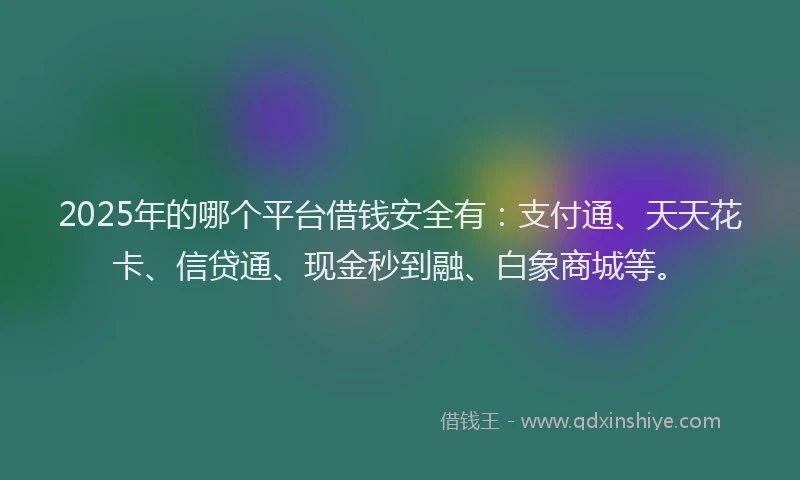 2025年的哪个平台借钱安全有：支付通、天天花卡、信贷通、现金秒到融、白象商城等。