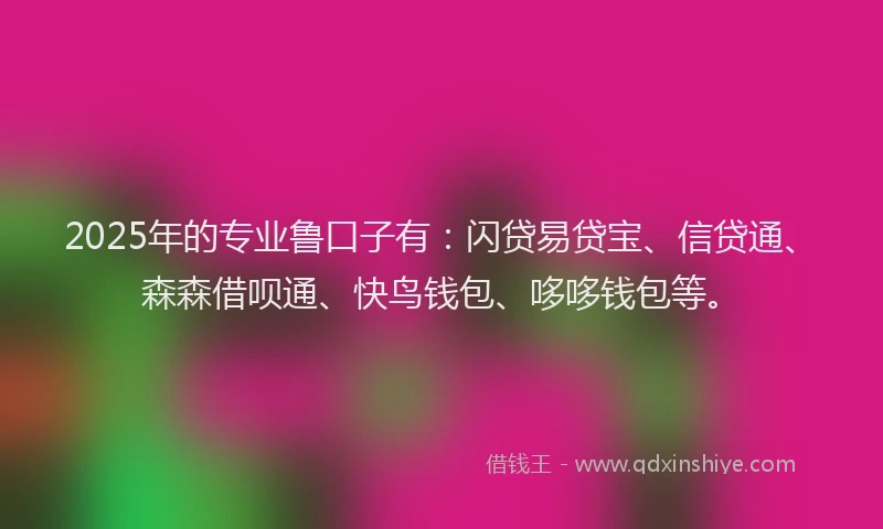2025年的专业鲁口子有：闪贷易贷宝、信贷通、森森借呗通、快鸟钱包、哆哆钱包等。