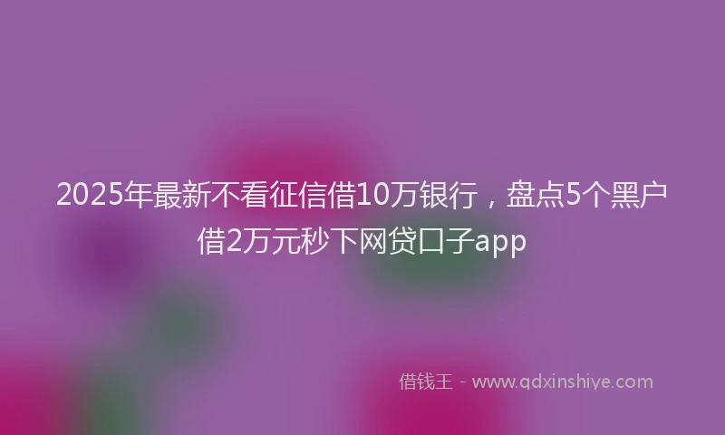 2025年最新不看征信借10万银行，盘点5个黑户借2万元秒下网贷口子app