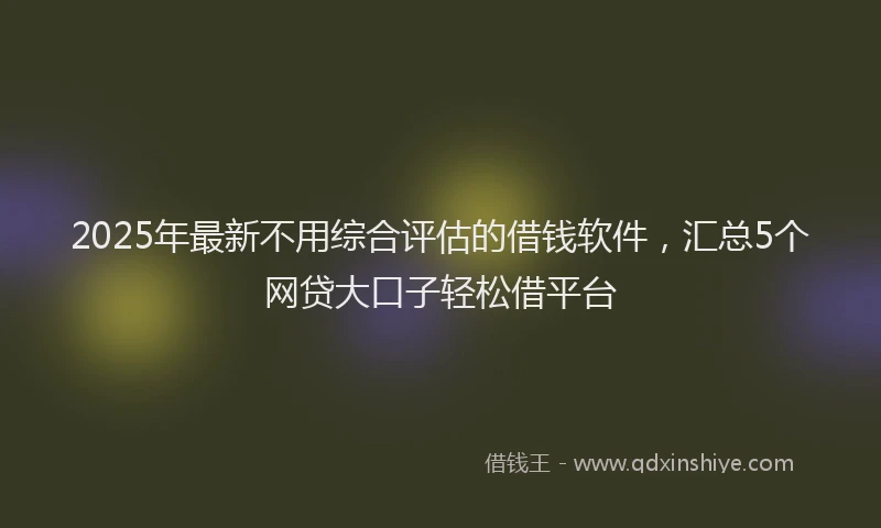 2025年最新不用综合评估的借钱软件，汇总5个网贷大口子轻松借平台