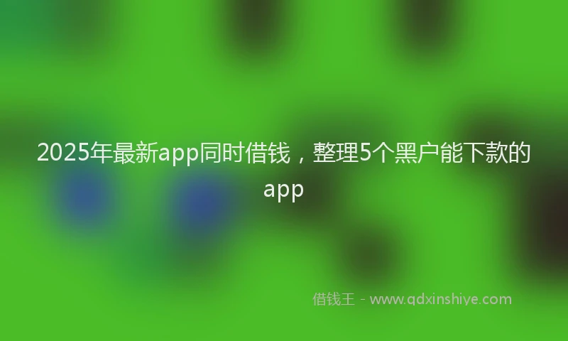 2025年最新app同时借钱，整理5个黑户能下款的app
